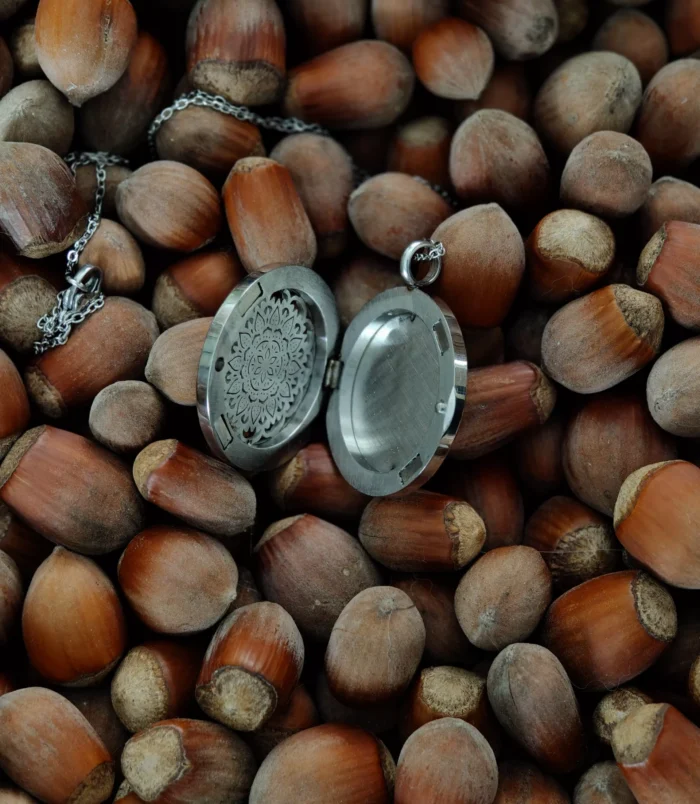 Naszyjnik SŁOŃCE 2 Srebrny otwierany naszyjnik z ażurową mandalą na tle orzechów laskowych.