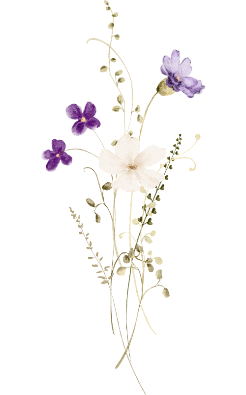 Akwarelowa ilustracja polnego bukietu z fioletowymi i białymi kwiatami oraz delikatnymi zielonymi gałązkami na białym tle.