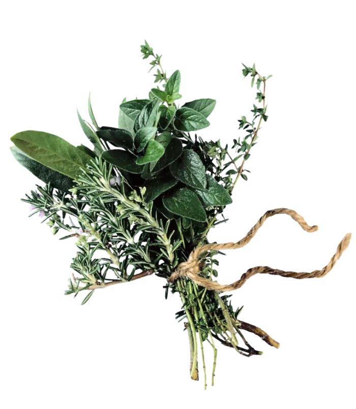 Pęczek świeżych ziół, w tym rozmarynu, szałwii i tymianku, przewiązany szorstkim sznurkiem, ukazany na jednolitym białym tle.